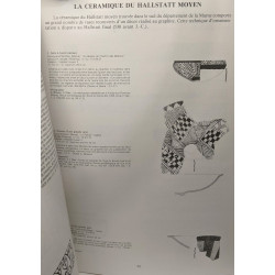 Céramique peinte gauloise en Champagne du VIe au Ier siècle avant...