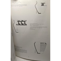 Céramique peinte gauloise en Champagne du VIe au Ier siècle avant...