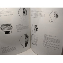 Céramique peinte gauloise en Champagne du VIe au Ier siècle avant...