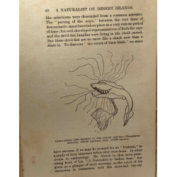 A naturalist on desert islands - 32 plates and 3 maps