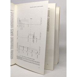La zone intertropîcale humide