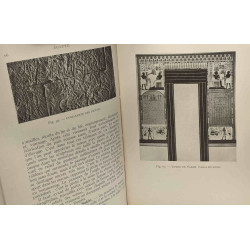 Section de l'Antiquité - TOME I - Belgique ancienne Egypte Asie...
