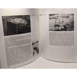 Activités 81 à 83 du S.O.S. fouilles 3/1984