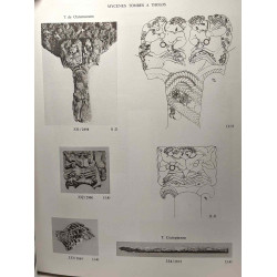 Les ivoires mycéniens - essai sur la formation d'un art mycénien +...