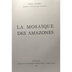 La mosaïque des amazones - Fouilles d'Apamée de Syrie