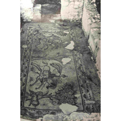 La mosaïque des amazones - Fouilles d'Apamée de Syrie