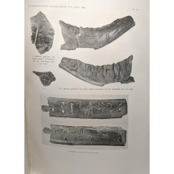 Oudheidkundige mededeelingen uit het Rijksmuseum van Oudheden te...