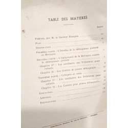 La delinquance juvenile en bretagne