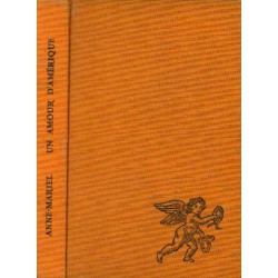 Un amour d'Amérique