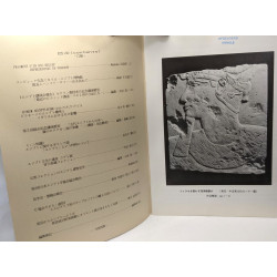 Japan egyptology association news - 3 exemplaires - N°5 1993 + N°6...