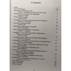 Divine Iamblichus: Philosopher and Man of Gods