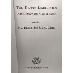 Divine Iamblichus: Philosopher and Man of Gods