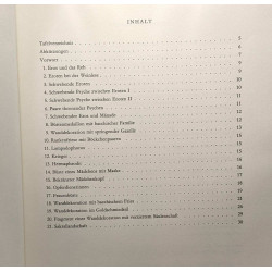 Nugae pompeianorum unbedannte wandmalereien des dritten...