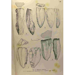 Krzemien swieciechowski w kulturze pucharow lejkowatych...