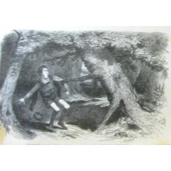 Contes merveilleux (illustré par Bertall)