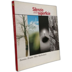 Silenzio della superficie. Biamino Briatta Obiso Reichenbach