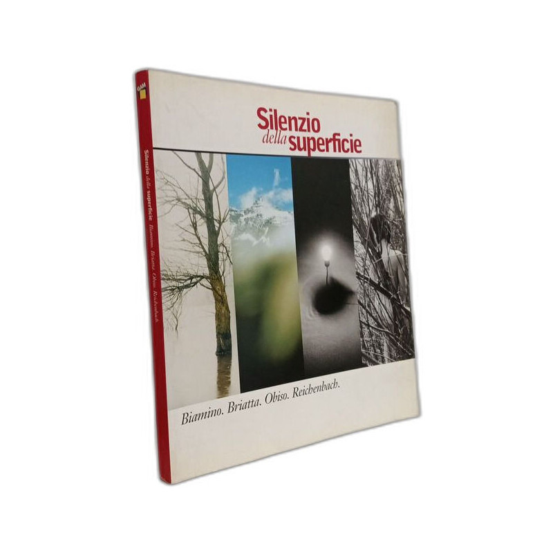 Silenzio della superficie. Biamino Briatta Obiso Reichenbach