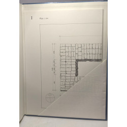 Ombres de l'Eubée? - Die Vorklassiche keramik aus dem ebiet des...