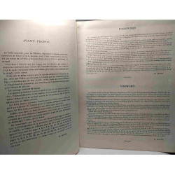 The beginner flautist / Le débutant flûtiste