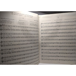 The beginner flautist / Le débutant flûtiste