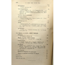 Le gueux chez Victor Hugo / biblo. de la fondation Victor Hugo IV