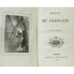 Bertrand du Guesclin