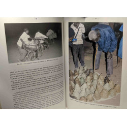 Les sauniers de la savane orientale - approche éthnographique de...