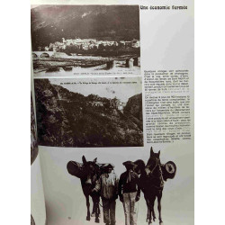 Sillons... Les cartes postales anciennes racontent les Alpes du Sud