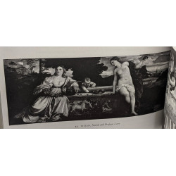 Renaissance perspectives in literature and the visual arts