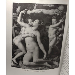 Renaissance perspectives in literature and the visual arts