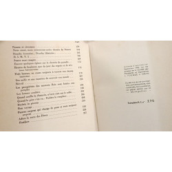 Avec ma roulante sur la terre des dieux - Campagne du moyen-orient...