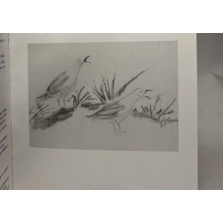 L'Eugène Pergeline 1992 + Brin de Bruyère odeur du temps 1986 ---...