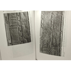 Ritual and Politics in Ancient Mesopotamia - american oriental...