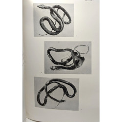 Contribution à l'Herpétologie de la Région des Grands Lacs de...