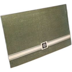 Muzeul Arheologic Din Pitesti