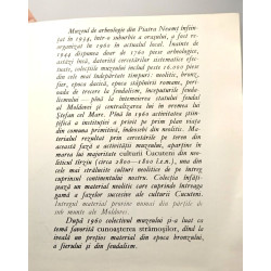 Muzeul Arheologic Din Pitesti