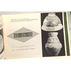 Muzeul Arheologic Din Pitesti