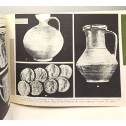 Muzeul Arheologic Din Pitesti