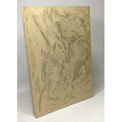 Théâtre d'ombres à l'intérieur