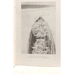 Particularisme et évolution , Les pêcheurs Lebou --- Etudes...