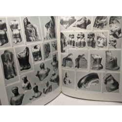 Das Thesmophorion von Eretria: Funde und Befunde eines Heiligtums...