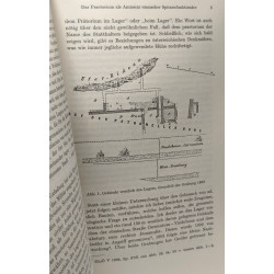 Das praetorium als amtssitz und quartier römischer spitzenfunktionäre