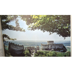 Histoire de la France naissance d'une nation des origines à 1348 -...