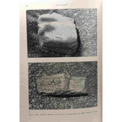 Chalcis-in-Euboea iron and Chalcidians abroad Chalcidian studies...