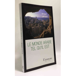Le monde arabe tel qu'il est