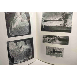 Fouilles de Delphes: TOME II: Topographie et Architecture (8...