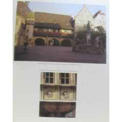 Le grand livre des vins d'Alsace