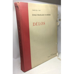 La terrasse des lions le Létoon et le monument de granit à Délos...