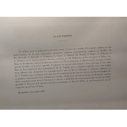 La terrasse des lions le Létoon et le monument de granit à Délos...