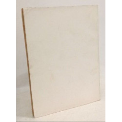 P.-J. Toulet Jean de Tinan et Mme Bulteau le mariage de Don quichotte